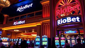 333bet app